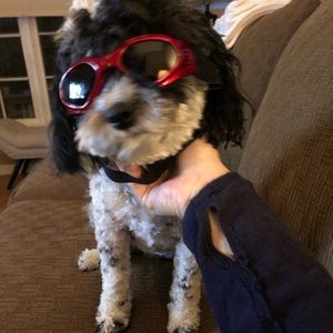 Meet your Posher, Lori